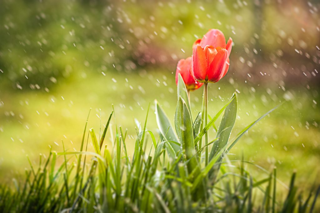April Showers Bring May… Fines?